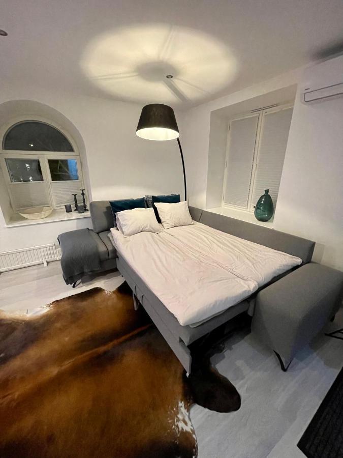 Luxury Penthouse With Terrace & Sauna In Old Town Ταλίν Εξωτερικό φωτογραφία